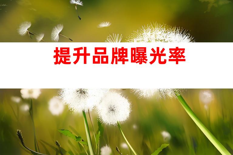 提升品牌曝光率