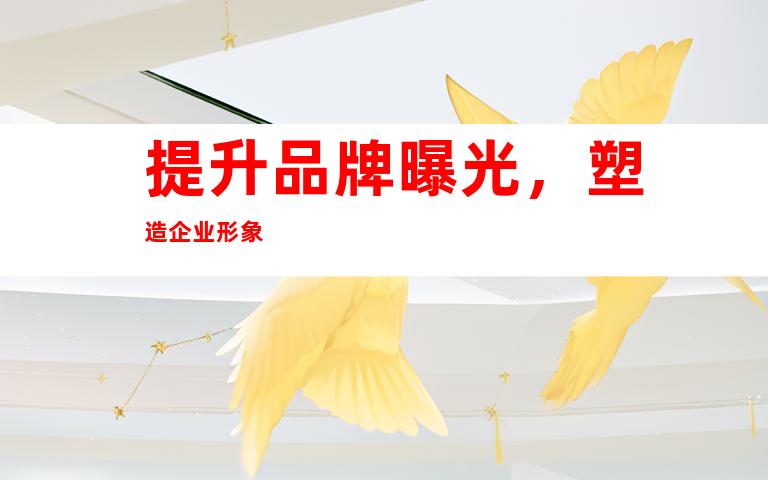 提升品牌曝光，塑造企业形象