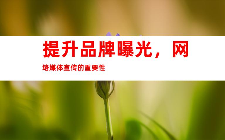提升品牌曝光，网络媒体宣传的重要性