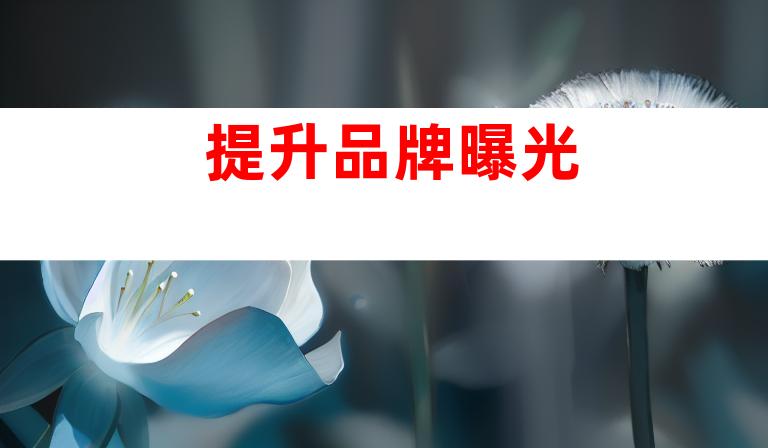 提升品牌曝光