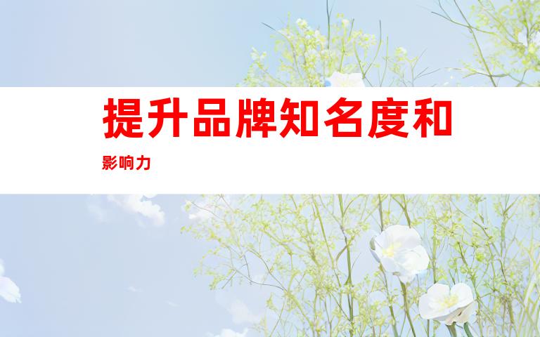 提升品牌知名度和影响力