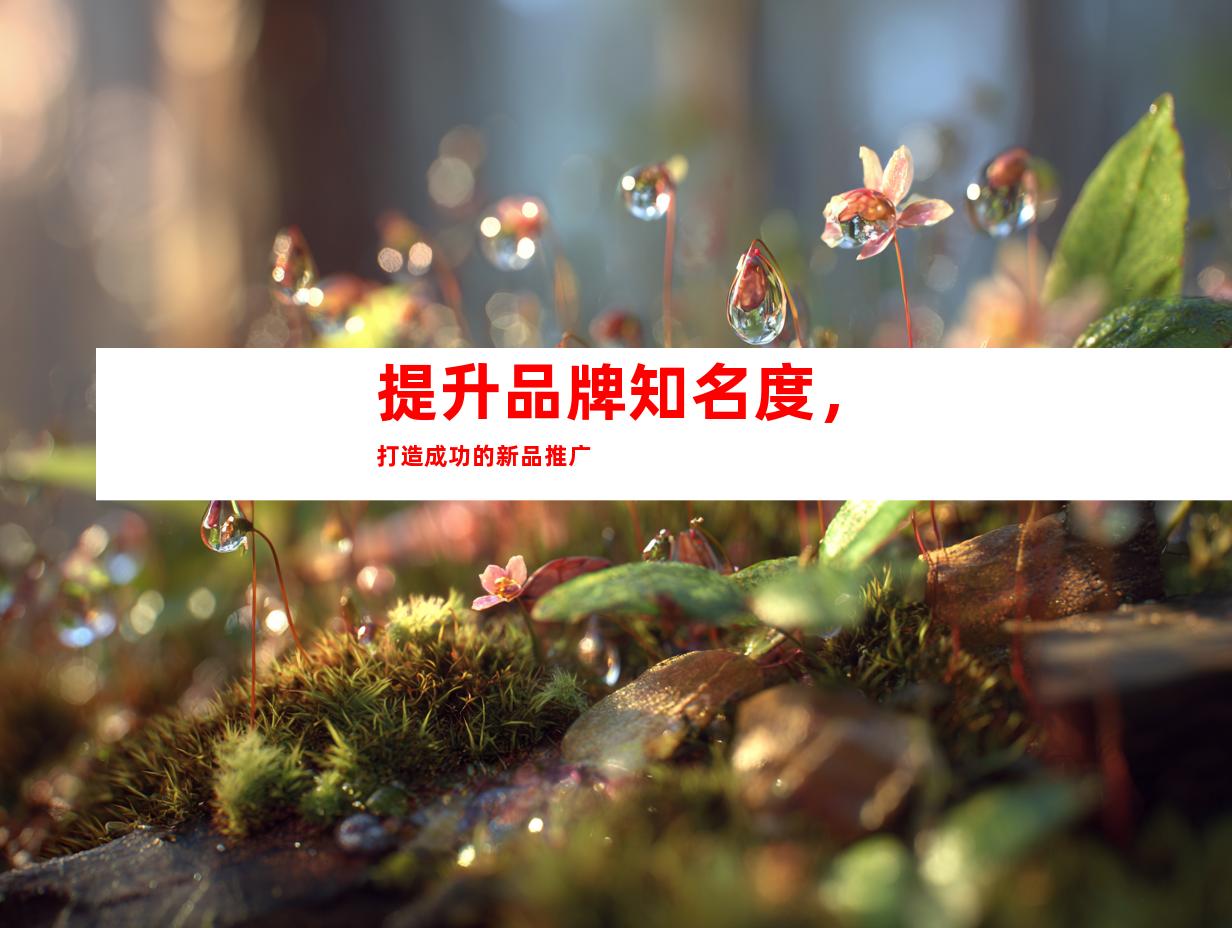 提升品牌知名度，打造成功的新品推广