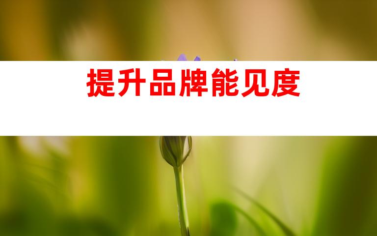 提升品牌能见度