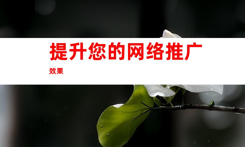 提升您的网络推广效果