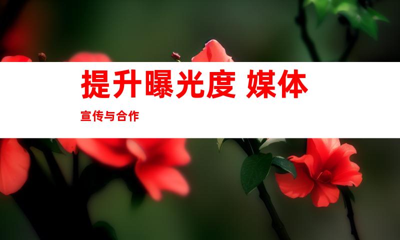 提升曝光度 媒体宣传与合作