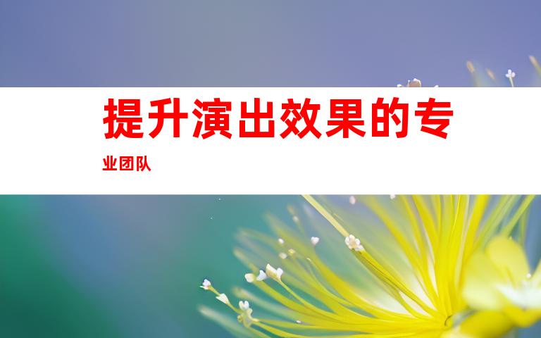 提升演出效果的专业团队