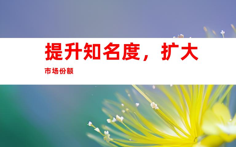 提升知名度，扩大市场份额