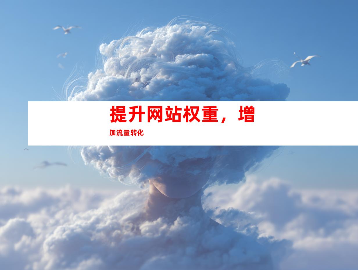 提升网站权重，增加流量转化