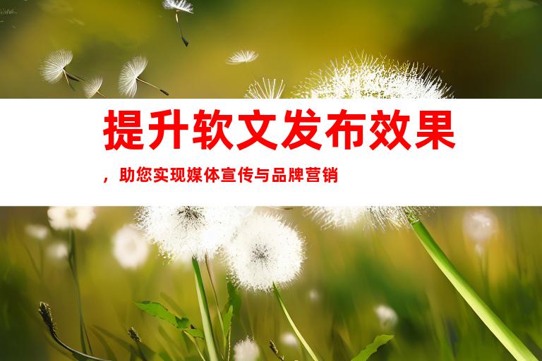 提升软文发布效果，助您实现媒体宣传与品牌营销