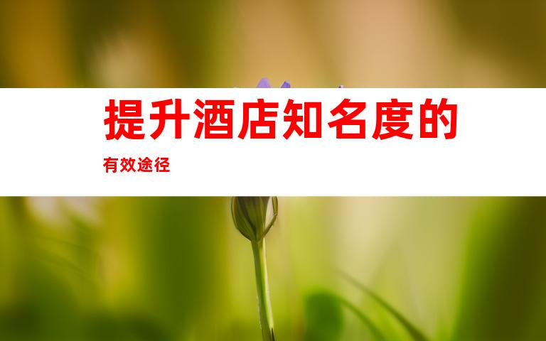 提升酒店知名度的有效途径
