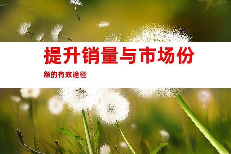 提升销量与市场份额的有效途径