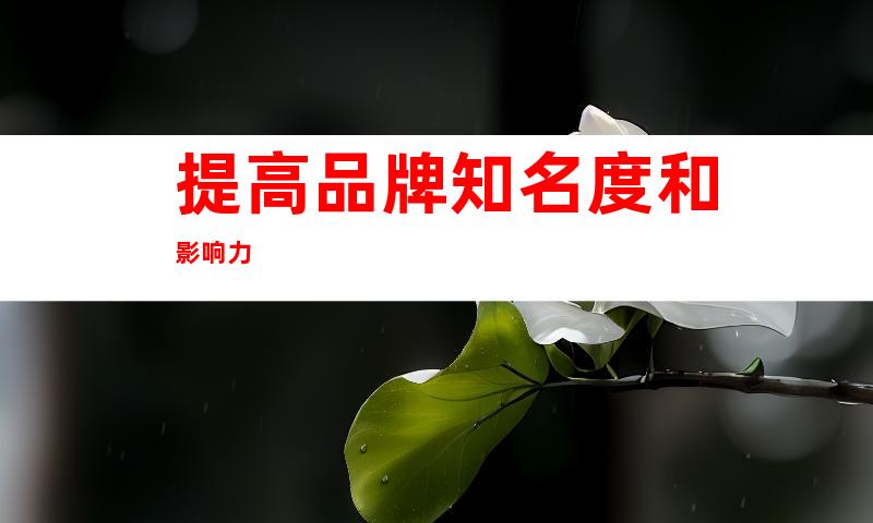 提高品牌知名度和影响力