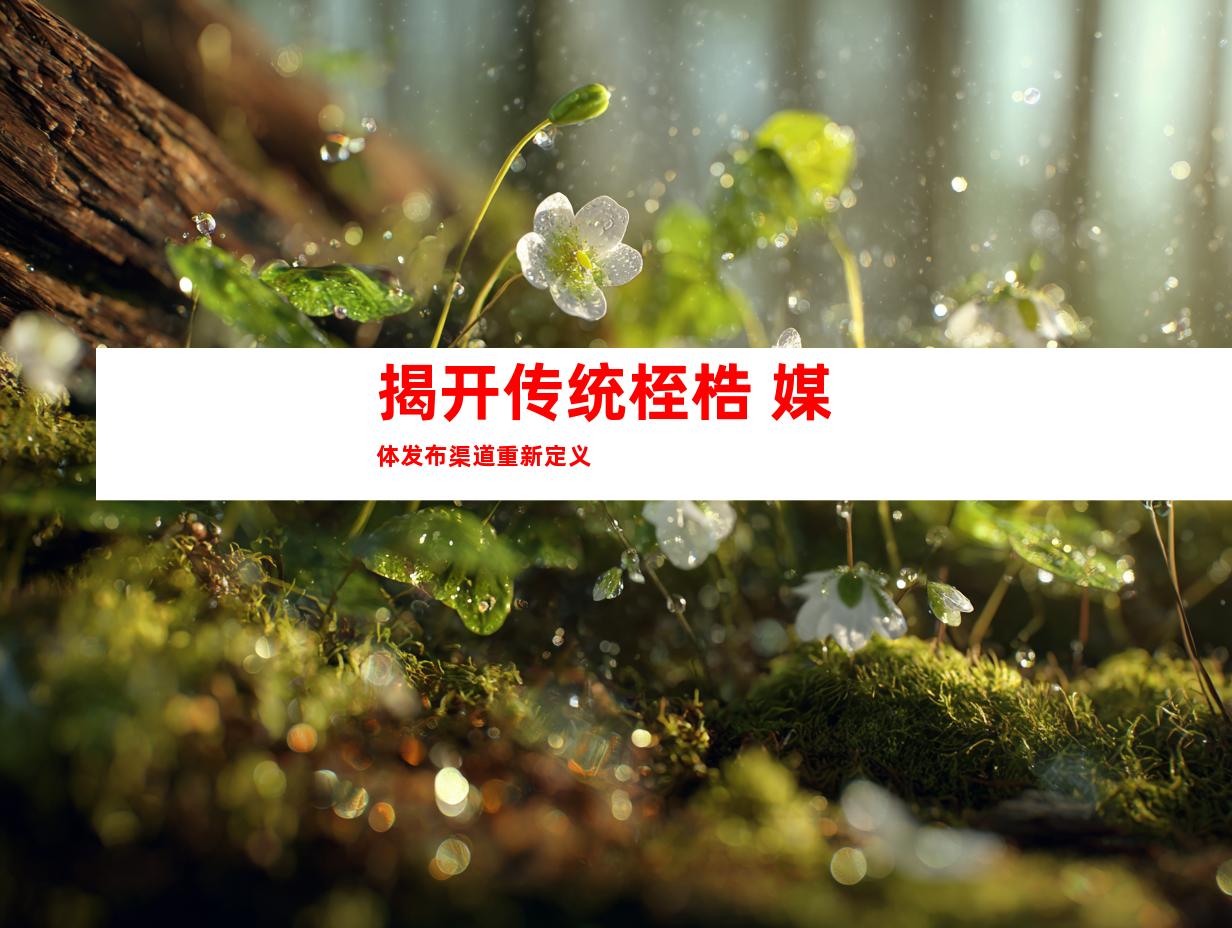 揭开传统桎梏 媒体发布渠道重新定义