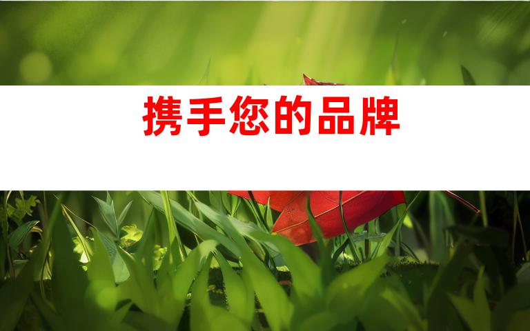 携手您的品牌