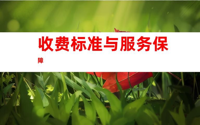 收费标准与服务保障