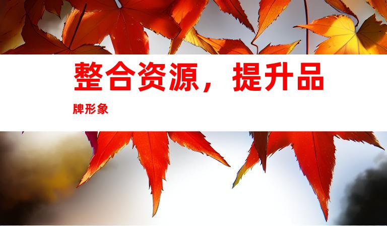 整合资源，提升品牌形象