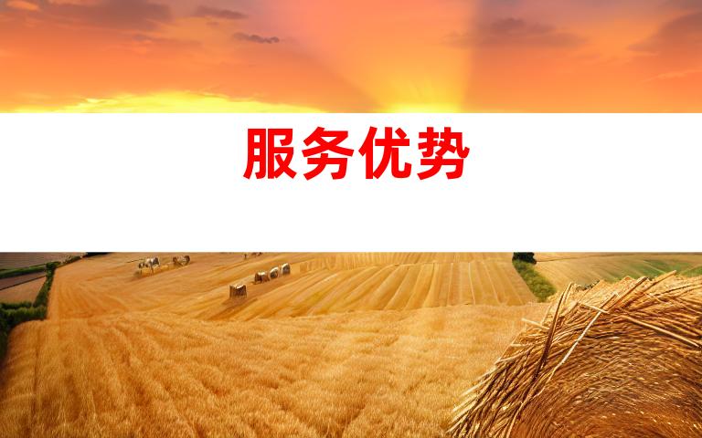 服务优势