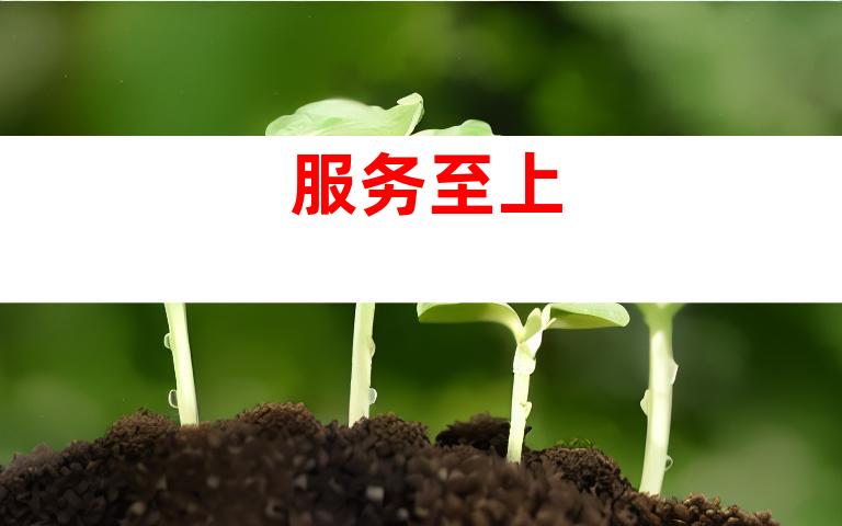 服务至上