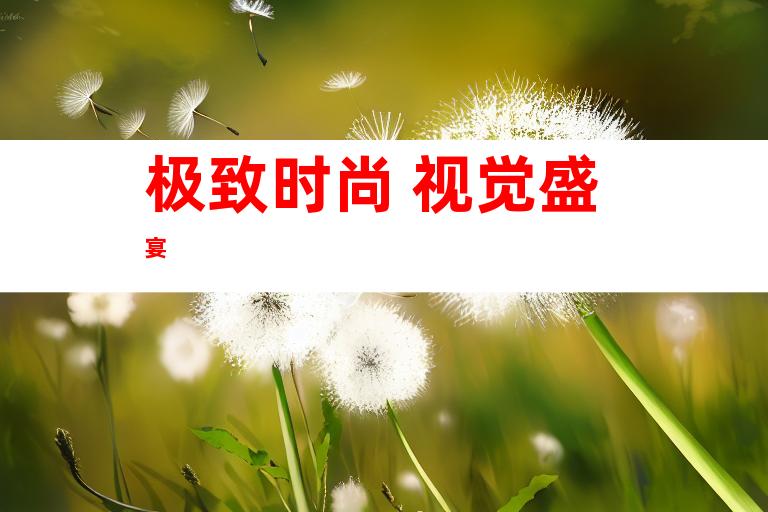 极致时尚 视觉盛宴