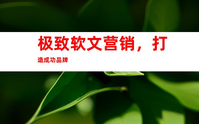 极致软文营销，打造成功品牌
