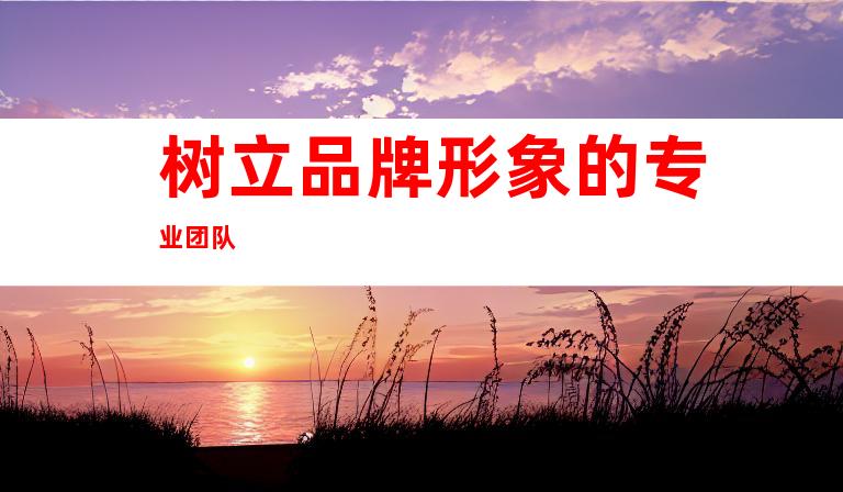 树立品牌形象的专业团队