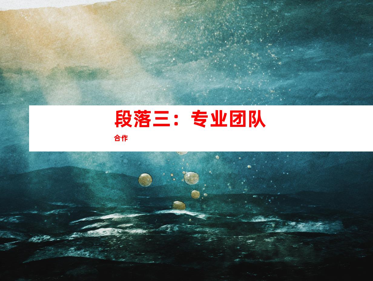 段落三：专业团队合作