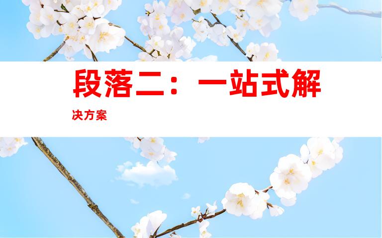 段落二：一站式解决方案
