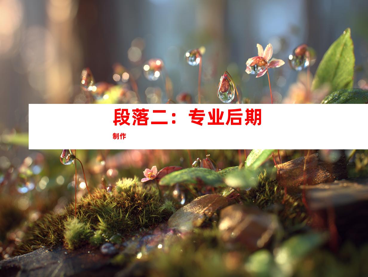 段落二：专业后期制作