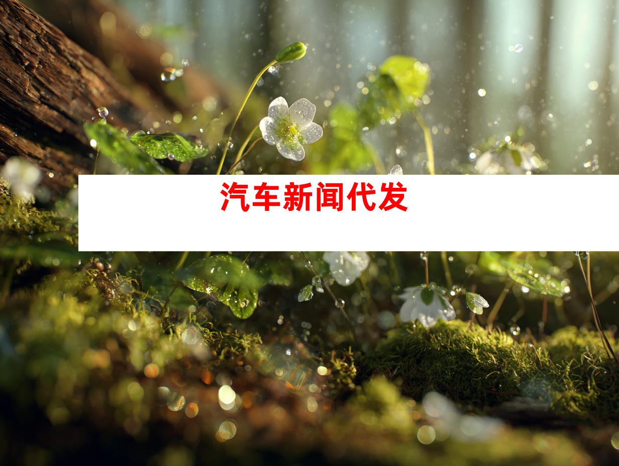 汽车新闻代发