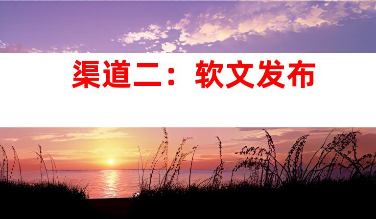 渠道二：软文发布