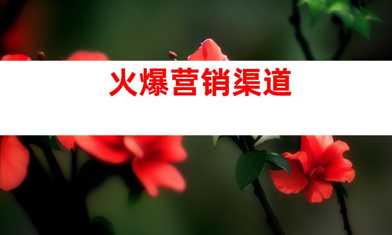 火爆营销渠道
