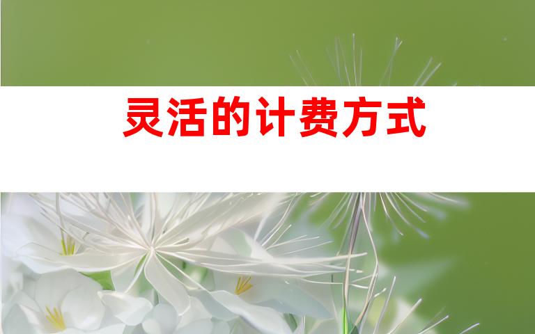 灵活的计费方式