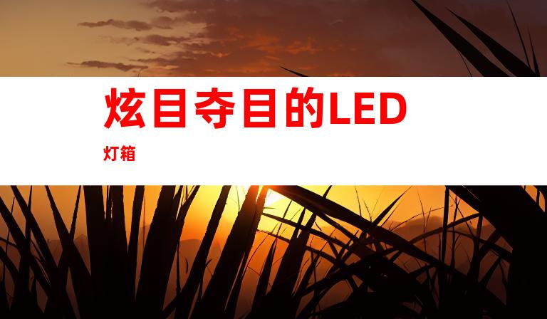 炫目夺目的LED灯箱