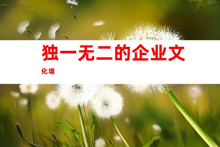 独一无二的企业文化墙