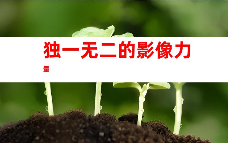 独一无二的影像力量