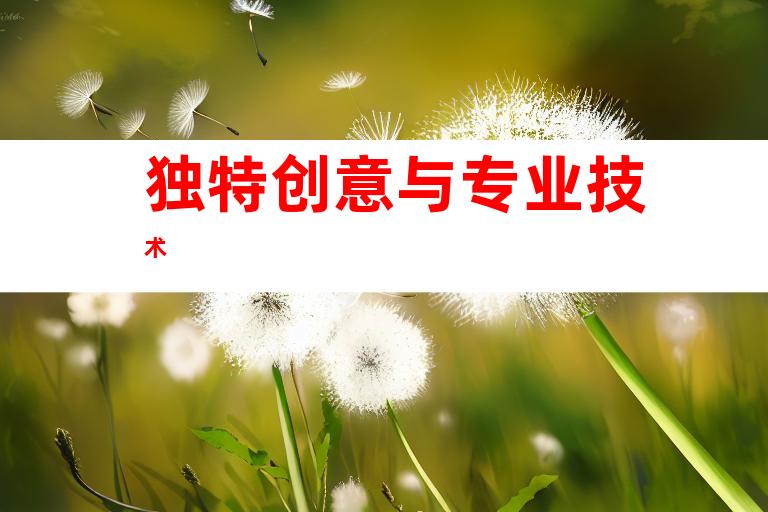 独特创意与专业技术