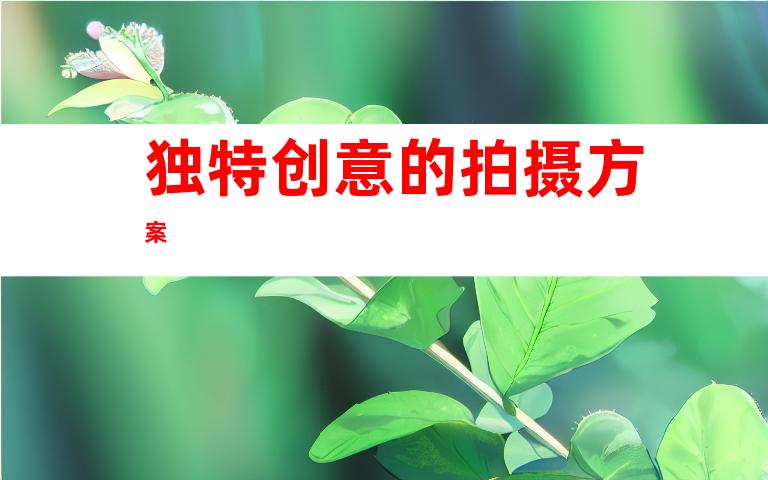 独特创意的拍摄方案