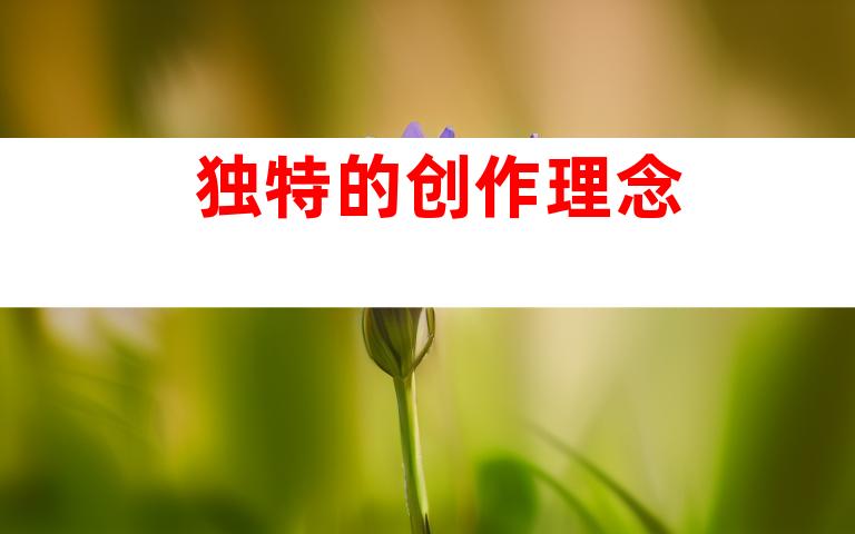 独特的创作理念