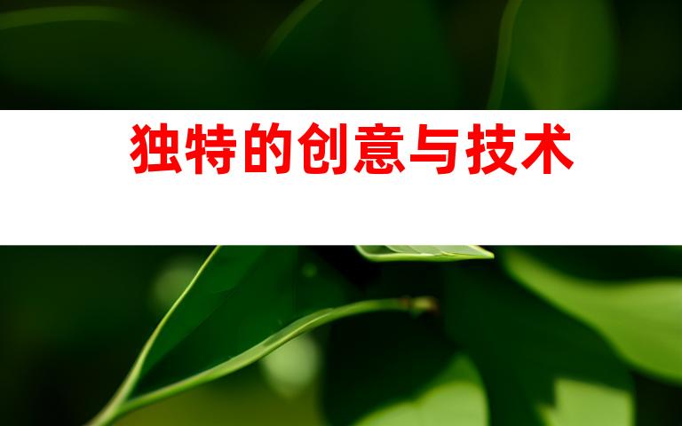 独特的创意与技术