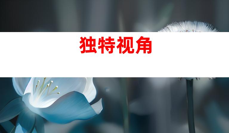 独特视角
