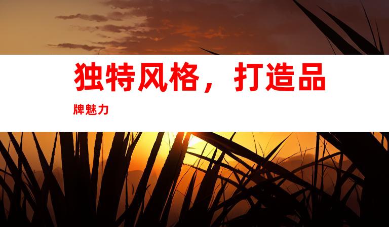 独特风格，打造品牌魅力