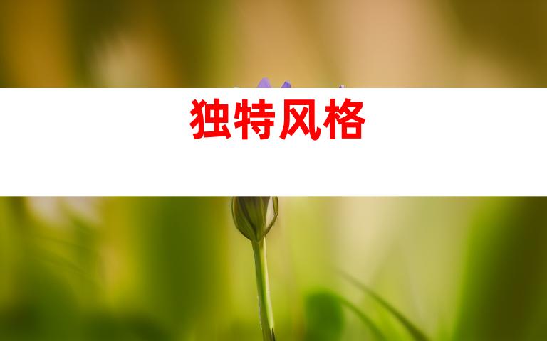 独特风格