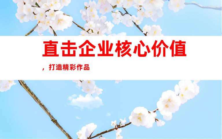 直击企业核心价值，打造精彩作品