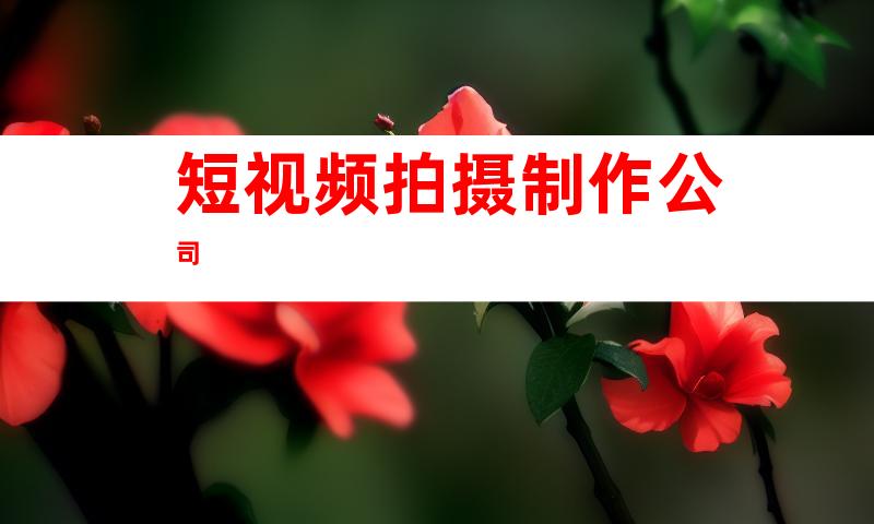 短视频拍摄制作公司