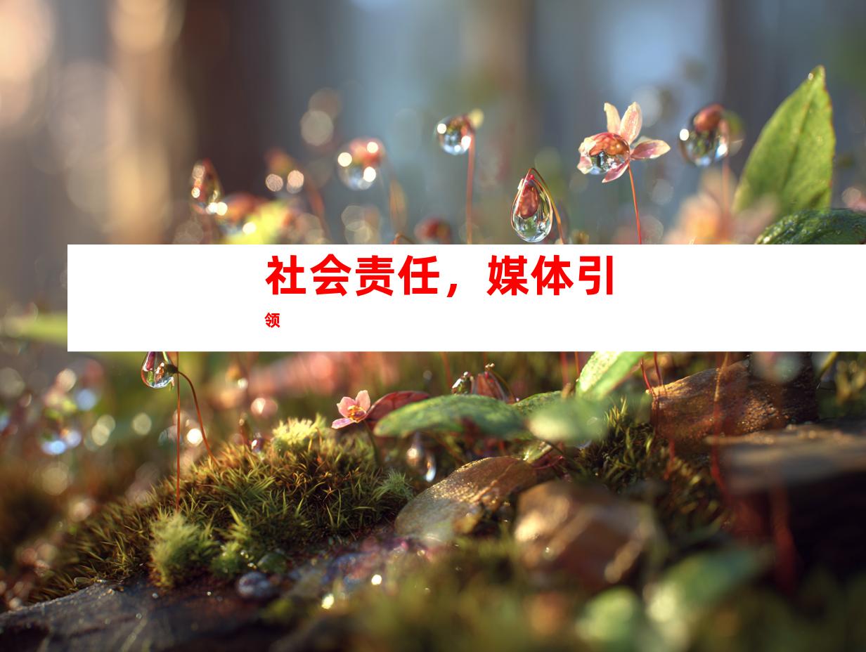社会责任，媒体引领