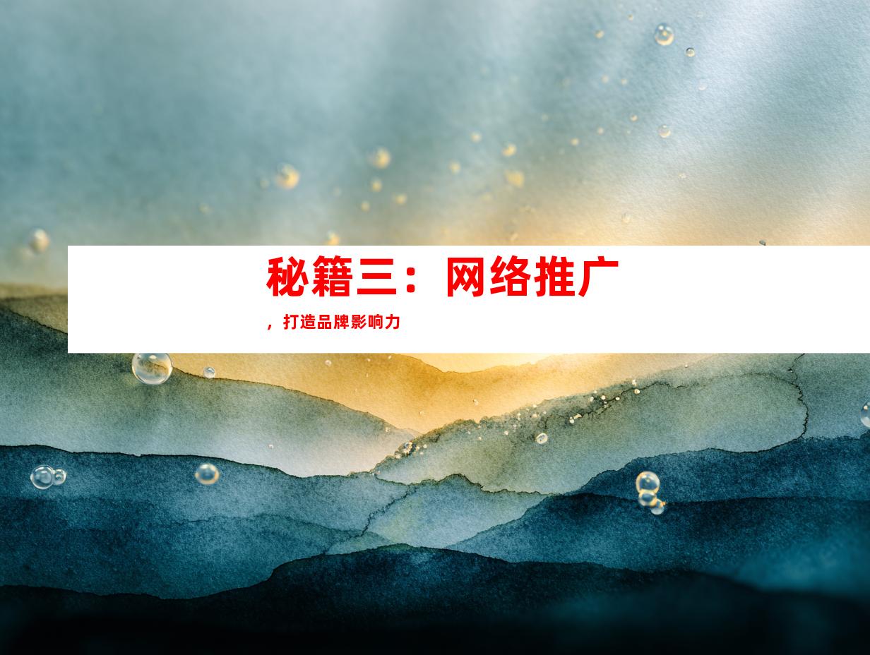秘籍三：网络推广，打造品牌影响力
