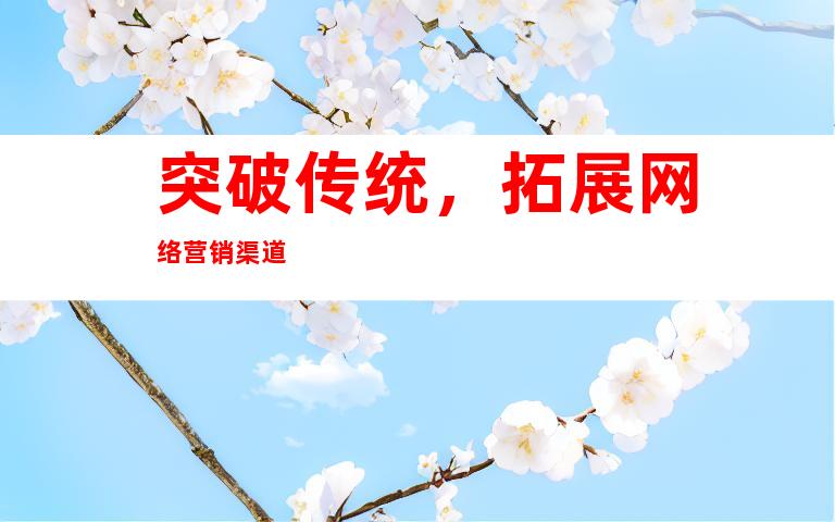 突破传统，拓展网络营销渠道