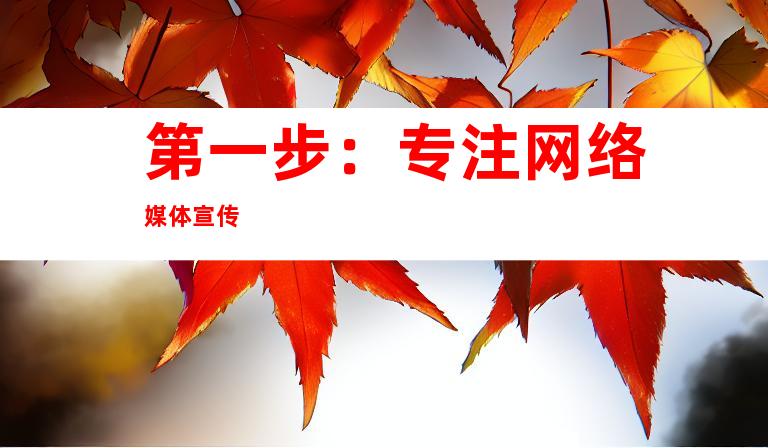 第一步：专注网络媒体宣传