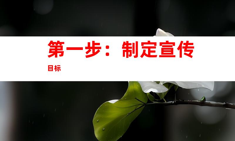 第一步:制定宣传目标