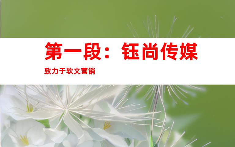 第一段：钰尚传媒致力于软文营销